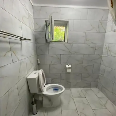 Pensiunea Blue House Guest house