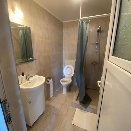 Guest house Pensiunea Blue House *