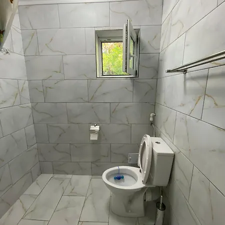 Pensiunea Blue House Guest house *
