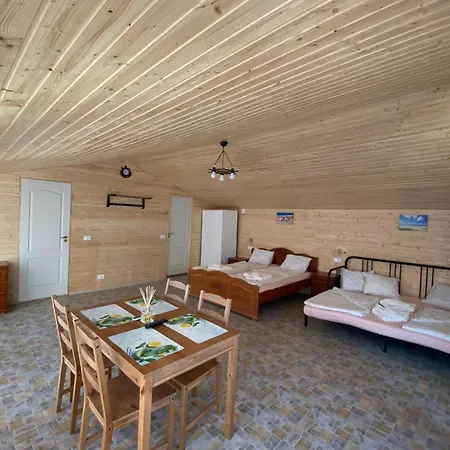 Guest house Pensiunea Blue House
