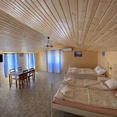 Pensiunea Blue House Guest house *